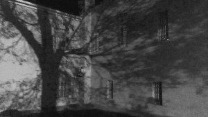 the ghost of a tree at the Colorado Prison Museum the ghost of a tree at the Colorado Prison Museum