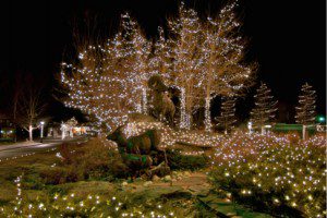 Estes Park Colorado holiday photo Estes Park Colorado holiday photo