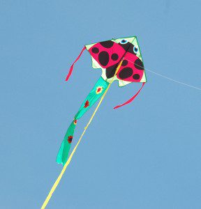 ladybug kite