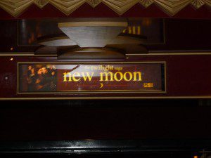 New Moon Photo by H.M. Kerr-Schlaefer