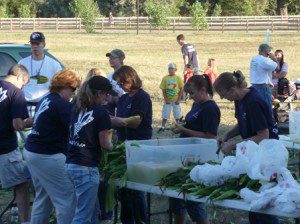 Corn shuckers hard at work