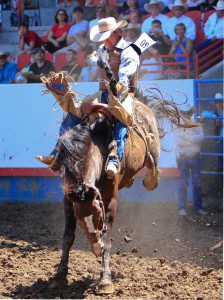 Greeley Stampede Rodeo Greeley Stampede Rodeo