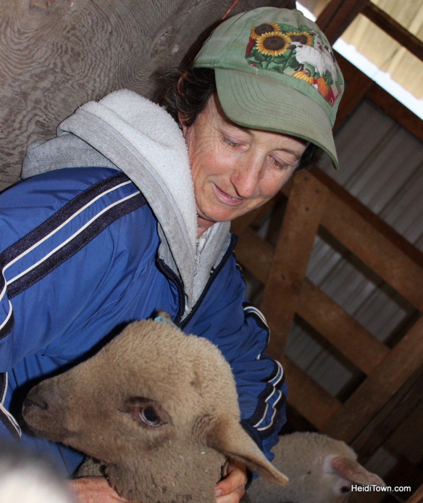 Lynn with one of her lambs during Lamb Lovin' at The Living Farm in Paonia, Colorado. HeidiTown.com