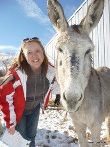 Heidi, the Mayor of HeidiTown at Longhopes Donkey Shelter in Bennett, Colorado.