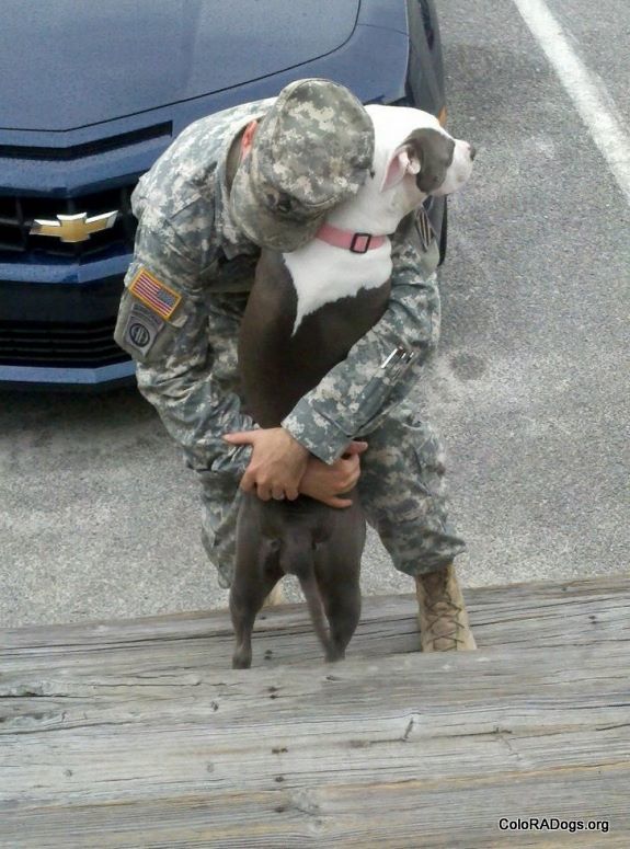 soldier hugs his dog from Coloradogs on Facebook