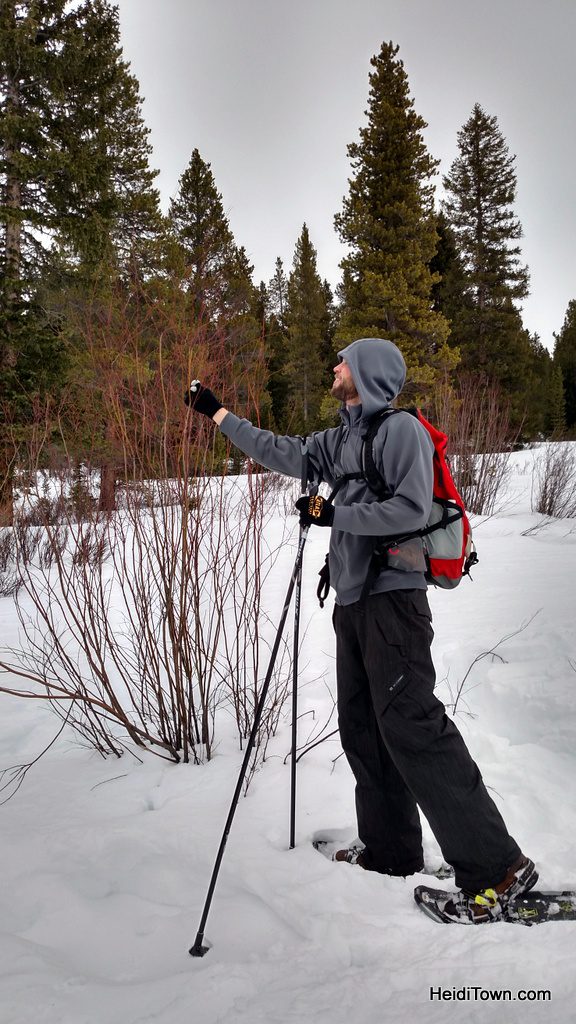 JD our snowshoe guide at Breckenridge Nordic Center points out moose activity. Heiditown.com