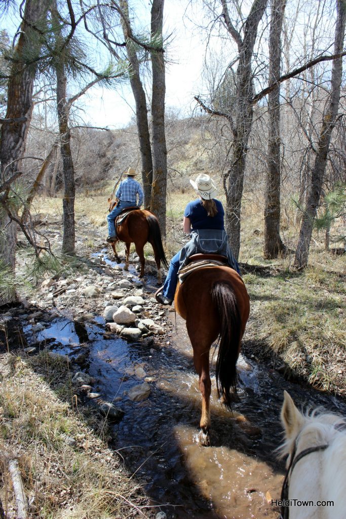 Riding through a stream at Sylvan Dale Guest Ranch. Playing Cowgirl at Sylvan Dale Guest Ranch. HeidiTown.com