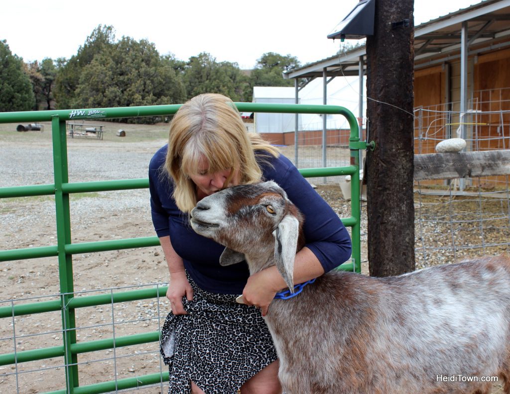 Gina and her goat Squirt at the Mountain Goat Lodge. He may be her favorite. HeidiTown.com