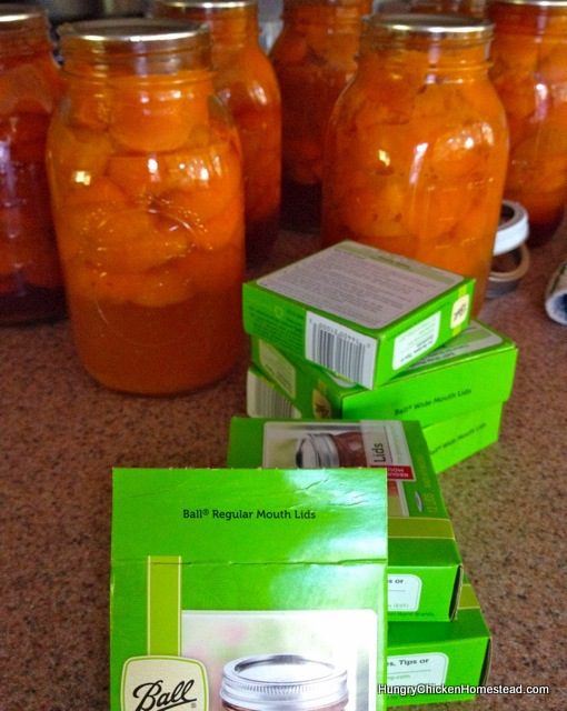 Canning with Colorado Springs chicken lady Bonnie Simon. HeidiTown.com