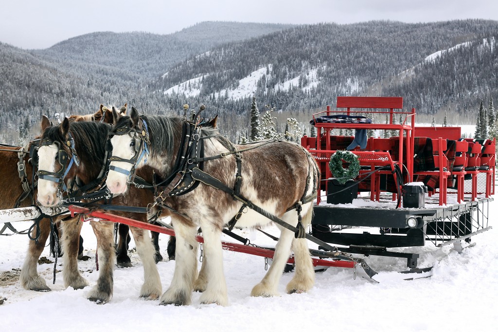 Romantic Winter Getaways in Colorado. Sleigh ride in Grand Lake.