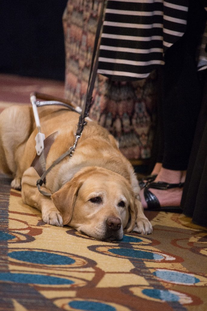 A guide dog at Wine Fest. All photos courtesy of DRS.