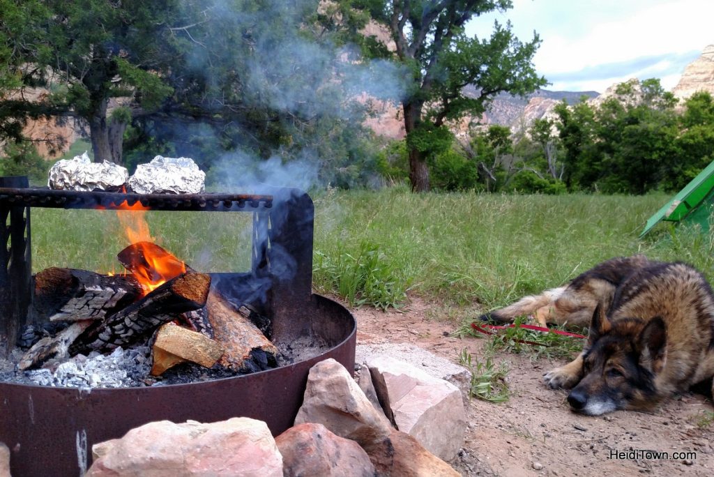 camping near dinosaur national park