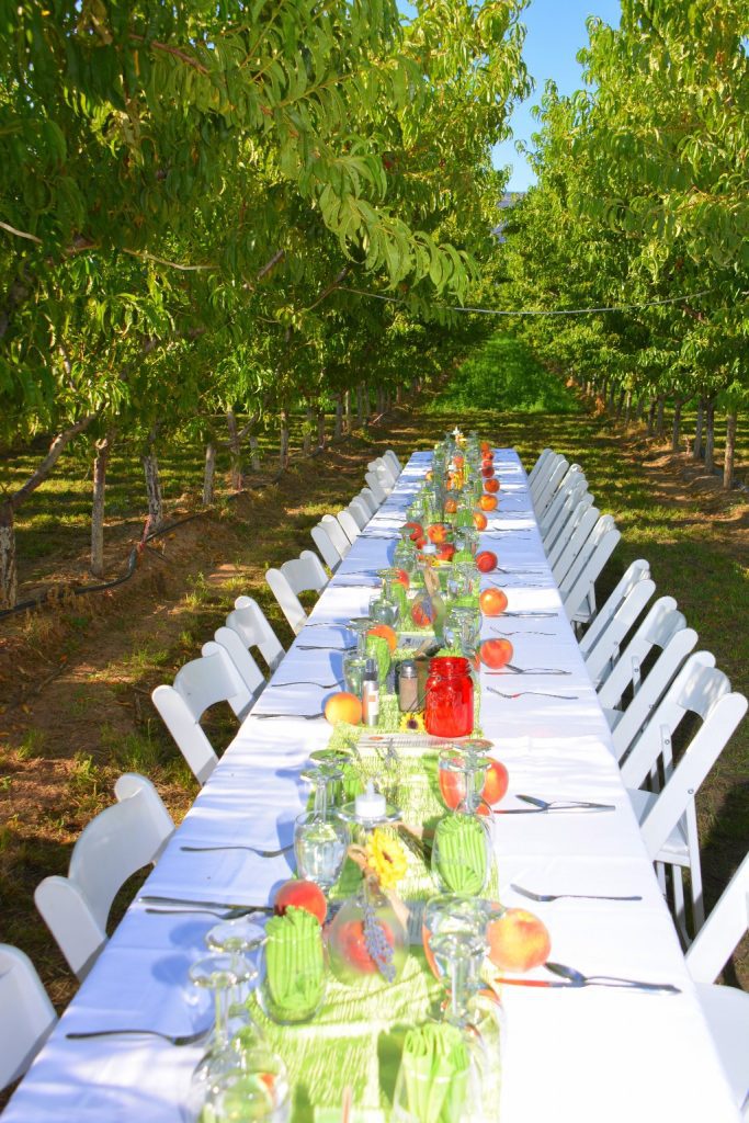 Feast in the Fields Palisade Peach Festival