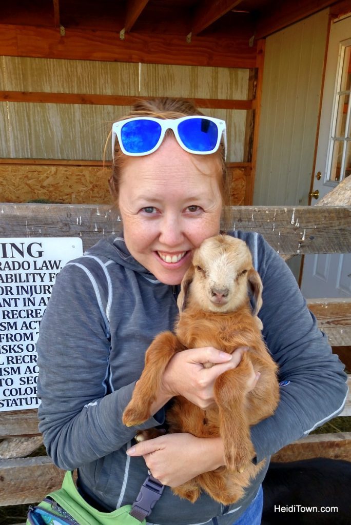 Girlfriends Getaway in the Colorado Rocky Mountains. Horse & Hen baby goat. HeidiTown.com