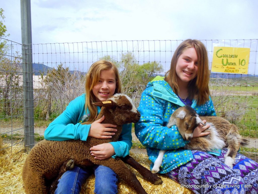 Kids bored this summer Let HeidiTown help. The living Farm, Paonia, Colorado. HeidiTown.com