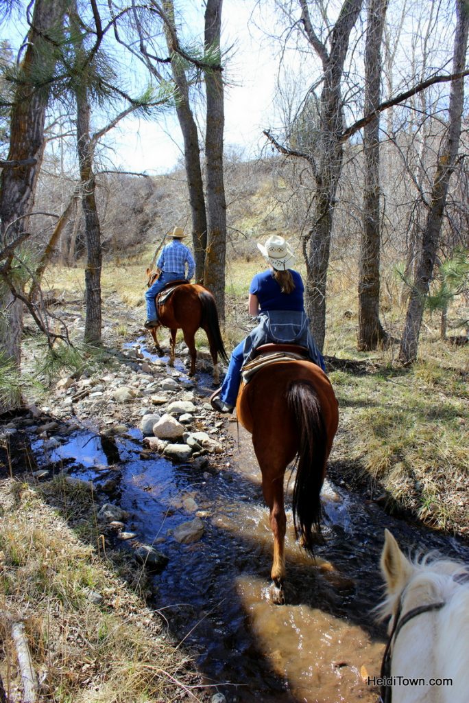 Riding through a stream at Sylvan Dale Guest Ranch. Playing Cowgirl at Sylvan Dale Guest Ranch. HeidiTown.com (2)