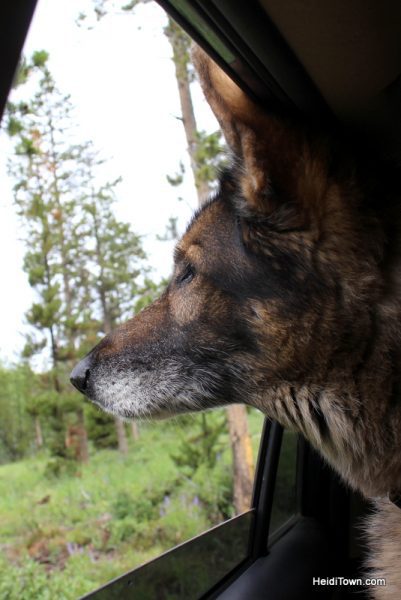 A Snow Mountain Ranch Summer to-do list. dog-friendly. HeidiTown.com