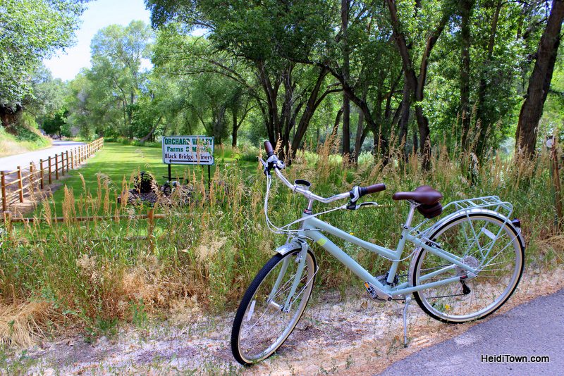 Bike to farm tour in the North Fork Valley. Orchard Valley Farms. HeidiTown.com