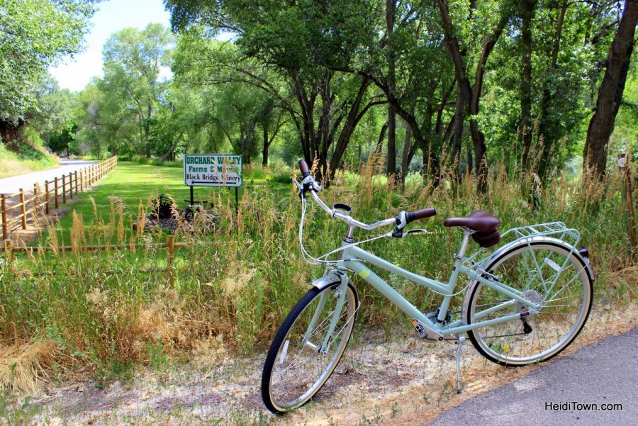Last minute Colorado summer trip ideas - go biking. HeidiTown.com