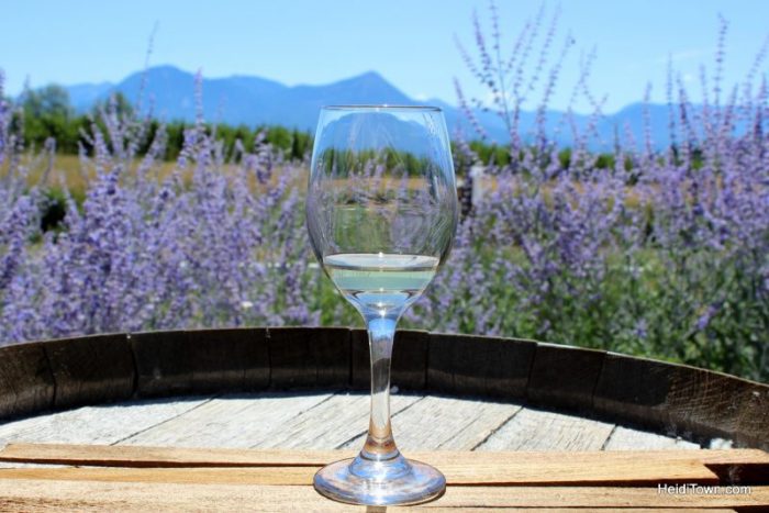 featured-festival-mountain-harvest-festival-paonia-colorado-wine-glass