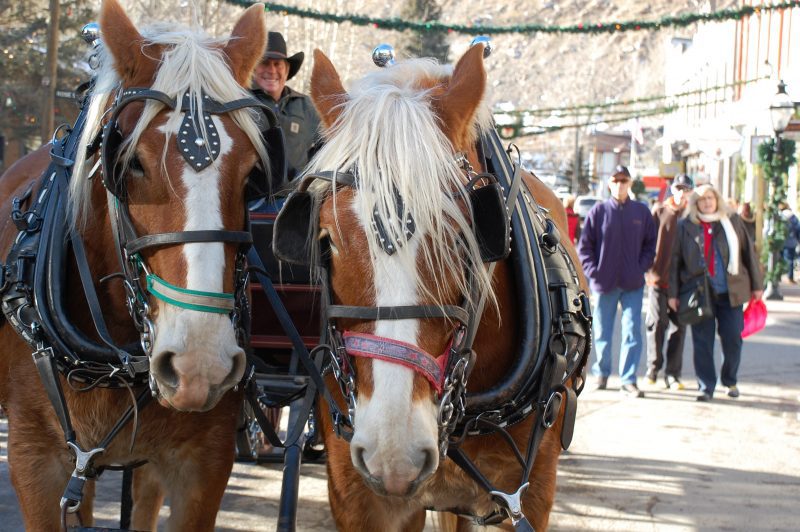 christmasmarket_horses-courtesy-visit-clear-creek-county