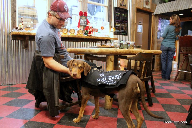 Whiskey, Lights, Pinball, the spirit hound. HeidiTown.com