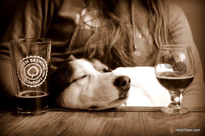 Find the Real Aspen, Petey the dog at Aspen Brewing Co. HeidiTown.com