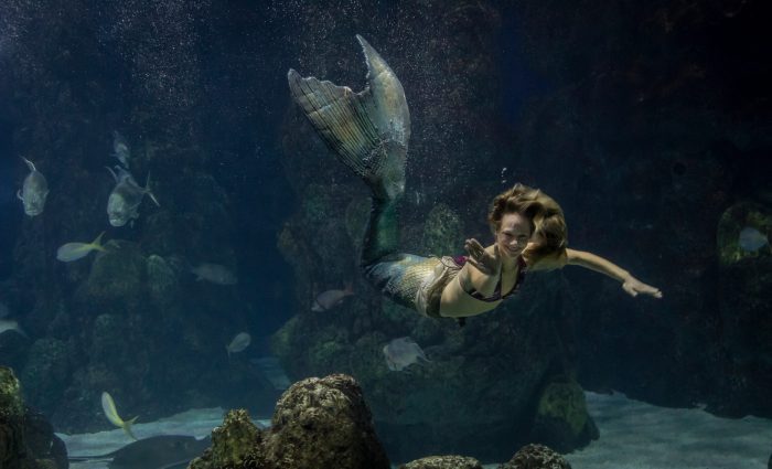 Mystic Mermaids, photo by Mike Goodell