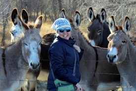 Mayor of HeidiTown Announces Annexation. Heidi & the Saratoga donkeys