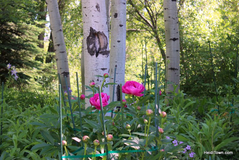 Six Reasons to Visit Steamboat Springs, Yampa River Botanic Park, HeidiTown.com