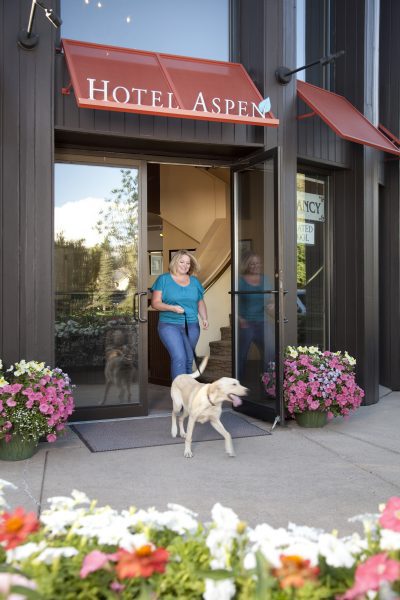 Dog-Friendly Hotels in Your Favorite Colorado Destinations Hotel Aspen
