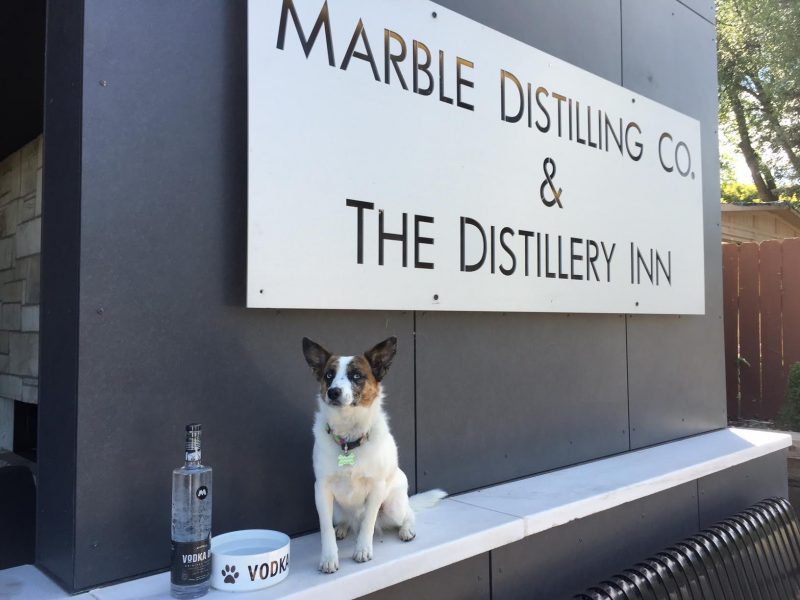 Dog-Friendly Hotels in Your Favorite Colorado Destinations The Distillery Inn