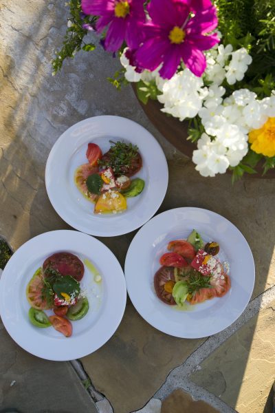 Crested Butte Center For The Arts Wine and Food Festival 2016. (Photo/Nathan Bilow)