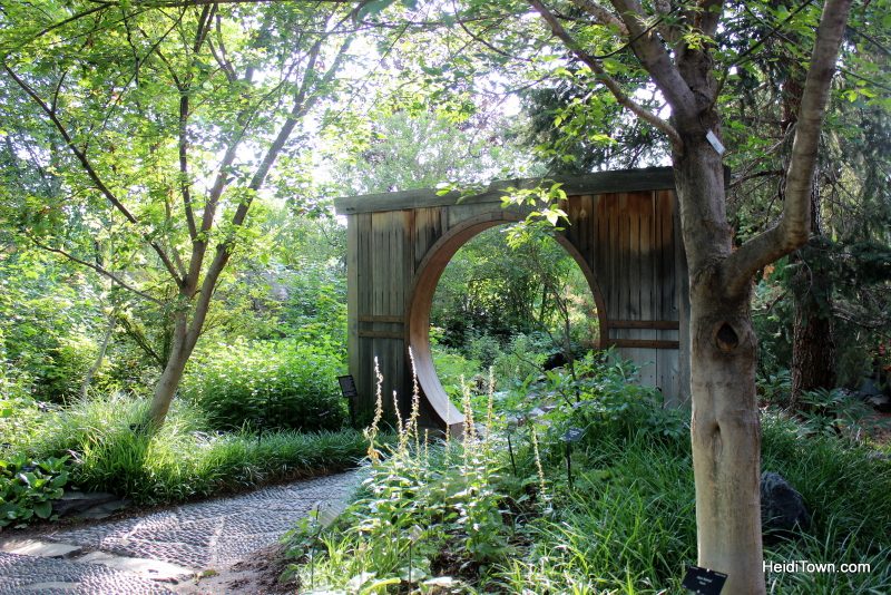 Shooting All the Flowers at Denver Botanic Gardens (18)