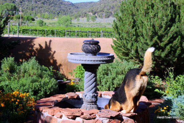 Take Road G to Wine Paradise, Guy Drew Vineyards