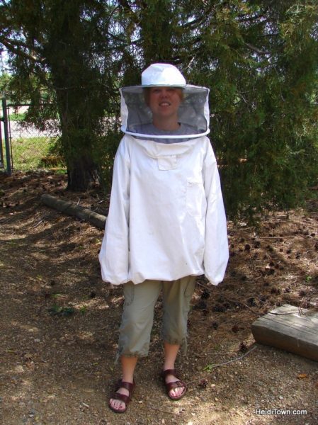 HeidiTown's Ten-Year-Anniversary Ten Things You Didn't Know About HeidiTown hive retrieval outing