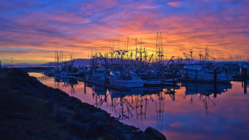Squalicum Harbor at sunset / Photo by: Lou Nicksic / Credit: Bellingham Whatcom County Tourism