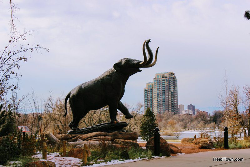 Best Last Minute Gifts in Colorado & Beyond, membership to DMNS
