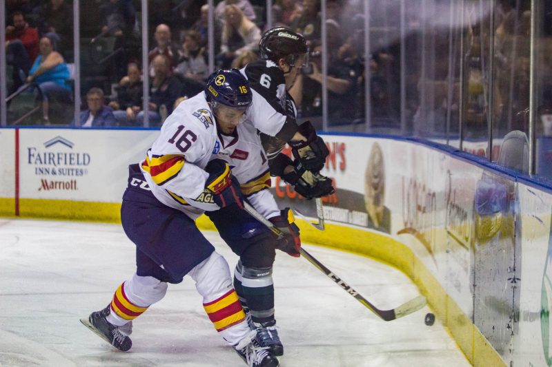 A Night Out With the Colorado Eagles, game shot, photo by Ashley Potts