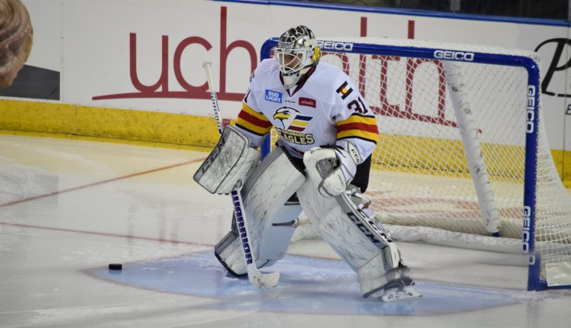 A Night Out With the Colorado Eagles, goalie, photo by Sierra Spiller