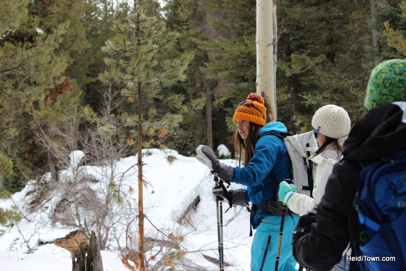 3 Reasons to Book a Trip to Jackson, Wyoming Right Now, Chelse Grohman with Jackson Hole Eco Tour Adventures, HeidiTown.com