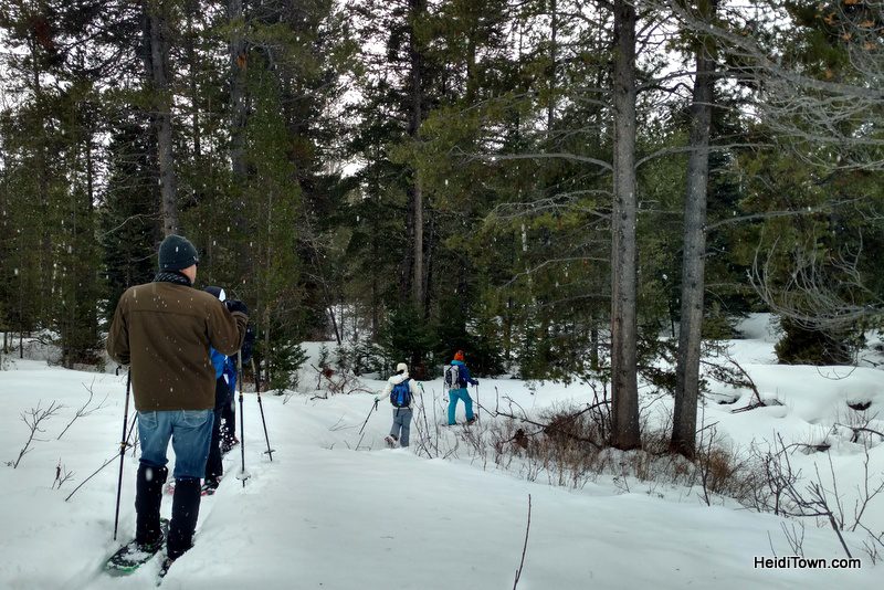 3 Reasons to Book a Trip to Jackson, Wyoming Right Now, Jackson Hole Eco Tour Adventures in Grand Teton NP, HeidiTown.com
