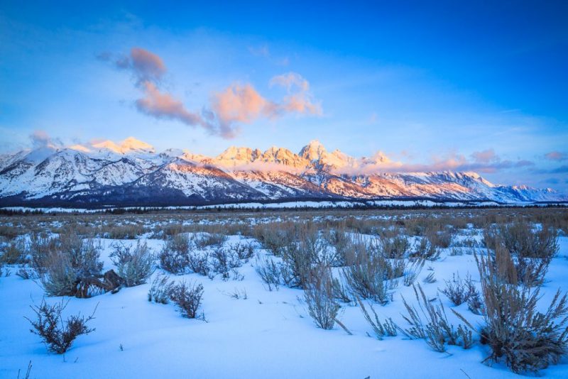 A Wildlife Tour With Jackson Hole Eco Tour Adventures, photo credit Josh Metten Photography