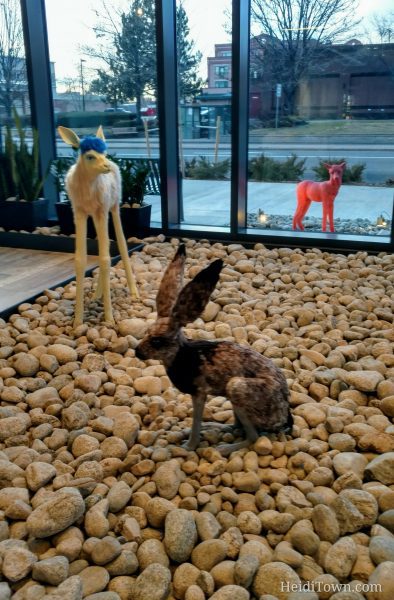 The Birds & the Bees & a Heated Pool at Two New Hotels in Boulder, Colorado. Kingdom by Lindsay Pichaske