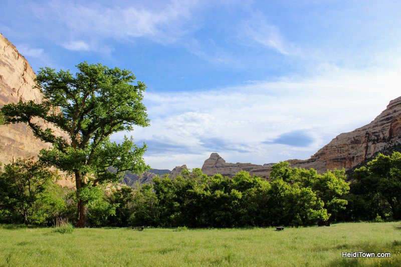 Escape the Crowds this Summer Visit a National Monument. Echo Park Campground at Dinosaur