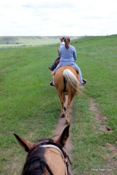 Terry Bison Ranch Where the Deer & the Camels Play 8. HeidiTown.com