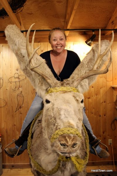 Terry Bison Ranch Where the Deer & the Camels Play 9. HeidiTown.com
