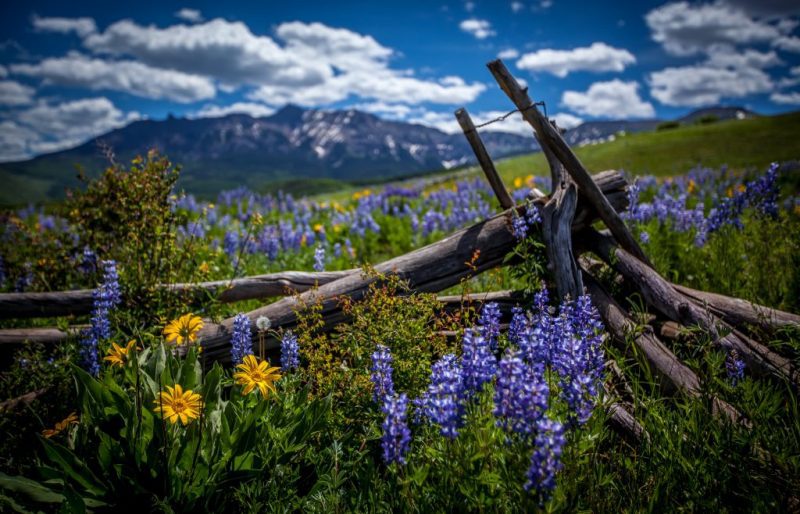 5 Picture Perfect Colorado Summer Towns HeidiTown Photo by KathrynLair_LastDollarRoad