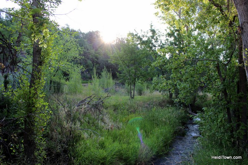 Off the Clock in the North Fork Valley of Colorado on HeidiTown (1)