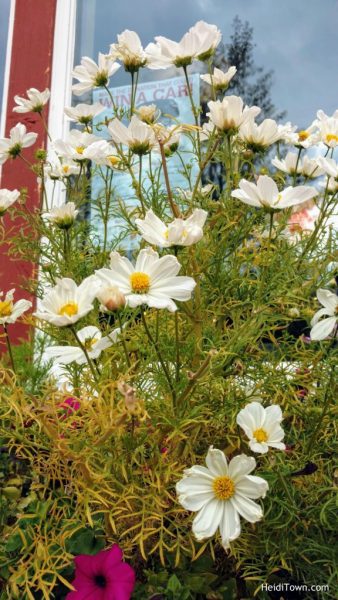 Stay in Keystone, Colorado. Flowers outside Luigi's Pasta House. HeidiTown.com